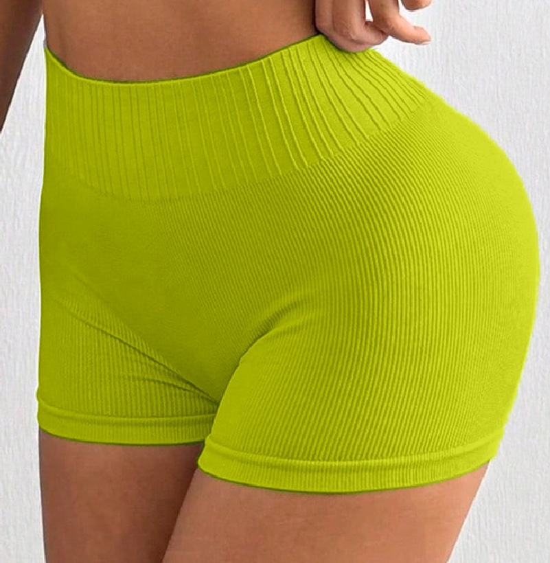 Slimming S-Shape Quick-Dry Fitness Vest and Butt-Lifting Shorts Yoga Outfit Set for Women (without pads)