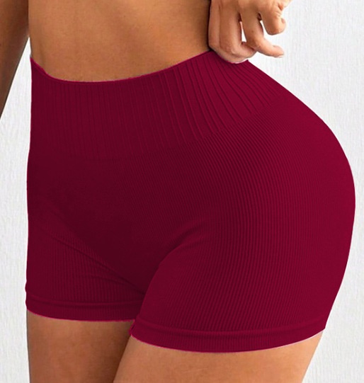 Slimming S-Shape Quick-Dry Fitness Vest and Butt-Lifting Shorts Yoga Outfit Set for Women (without pads)