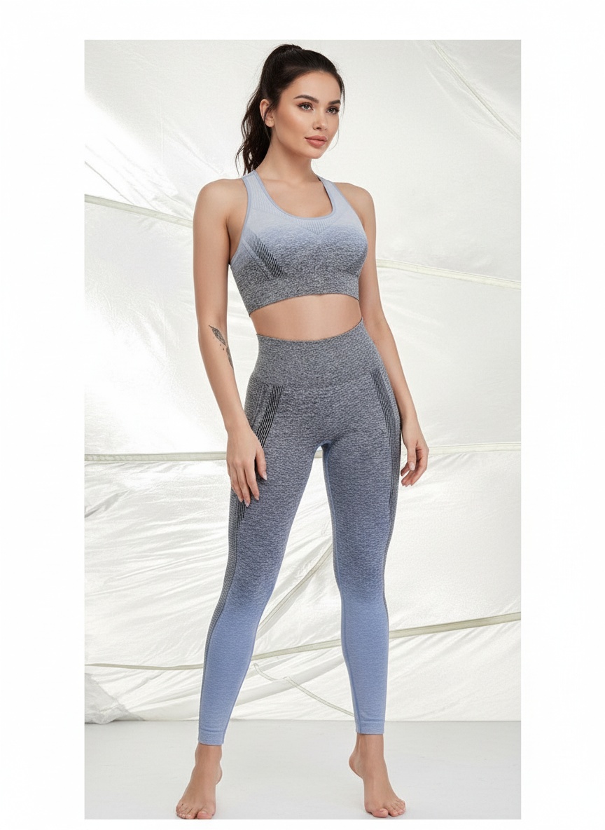 Gradient Quick-Dry Slimming Sports Bra with Shock-Absorbing Function for Women