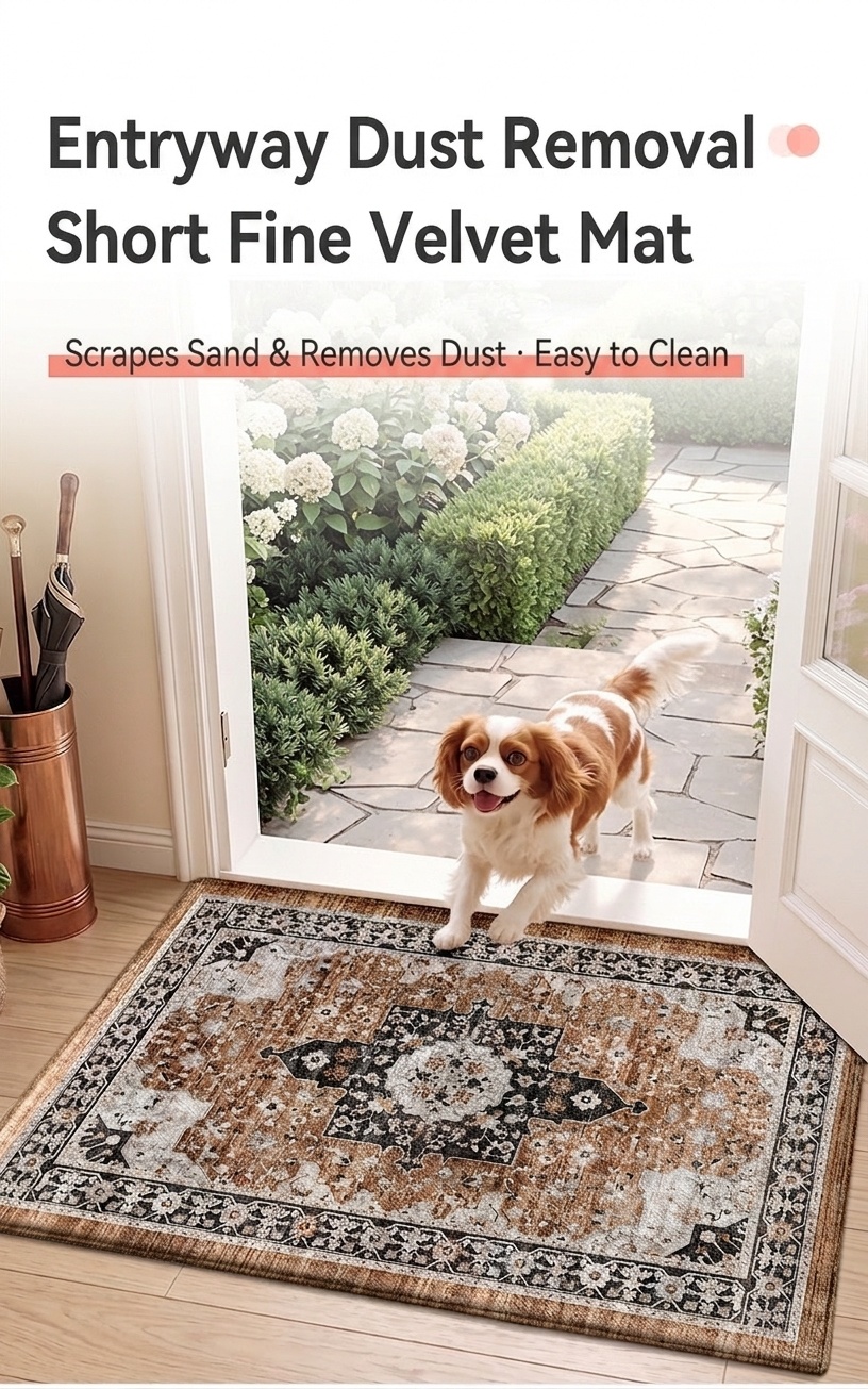 Stylish Anti-Slip Entryway Doormat | Durable & Easy Clean Rug