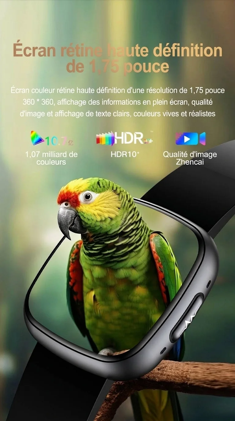 Montre connectée incurvée AMOLED avec ECG, tension artérielle et suivi d'activité physique