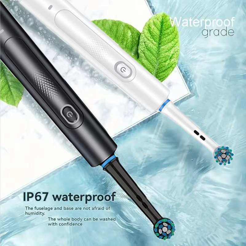 Brosse à dents électrique professionnelle Beauty Life, nettoyage en profondeur, 4/8 têtes
