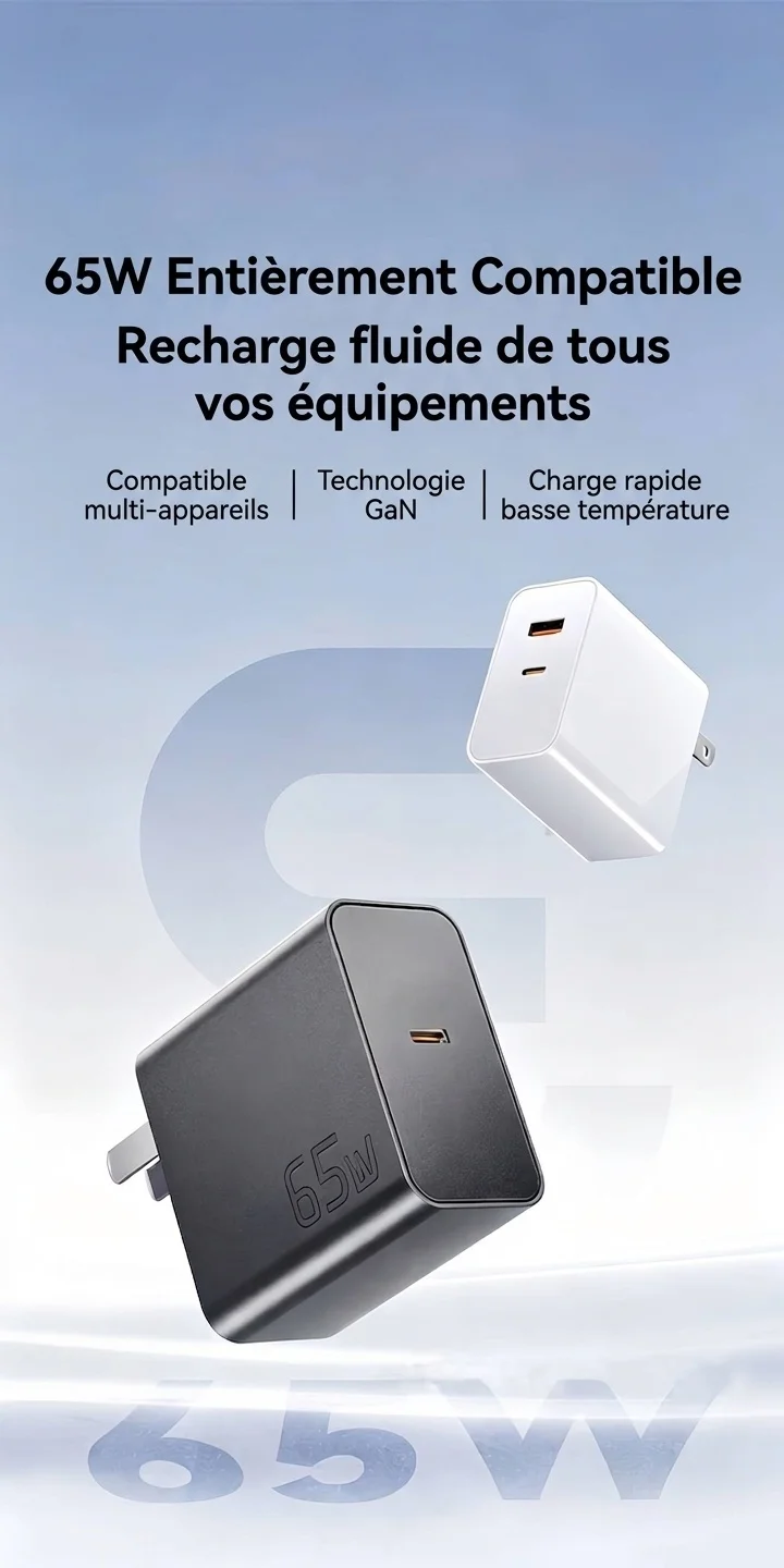 Chargeur rapide GaN 65 W, adaptateur mural double port USB-C et USB-A
