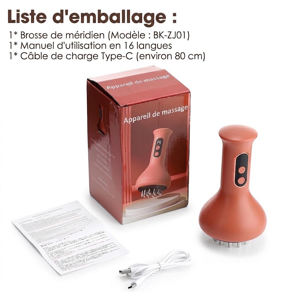 Brosse de massage des méridiens à 9 niveaux avec lumière rouge et microcourant