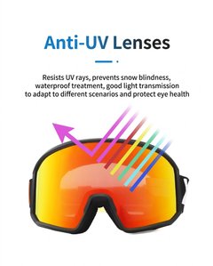 BS2019-0022_Black_Irregular_Plastic_Ski_Goggles_detail1