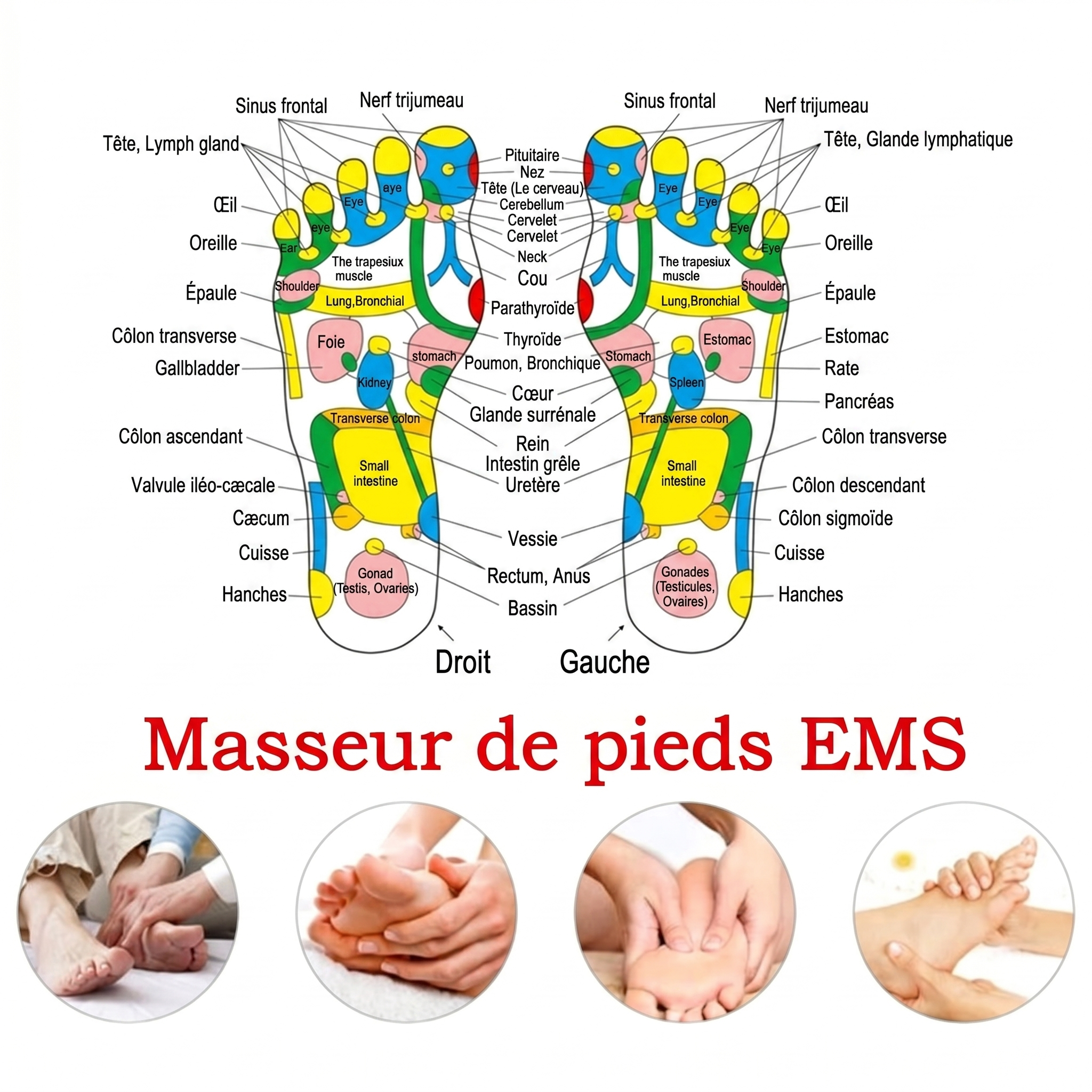 EMS Bio-Tracker Mat - Flexible Fitness Wearable