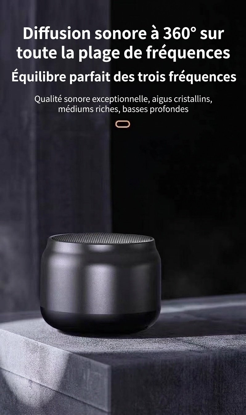 Enceinte portable sans fil Bluetooth 5.3, basses profondes et puissantes, son immersif à 360°, autonomie de 8 heures, appels mains libres, enceinte compacte