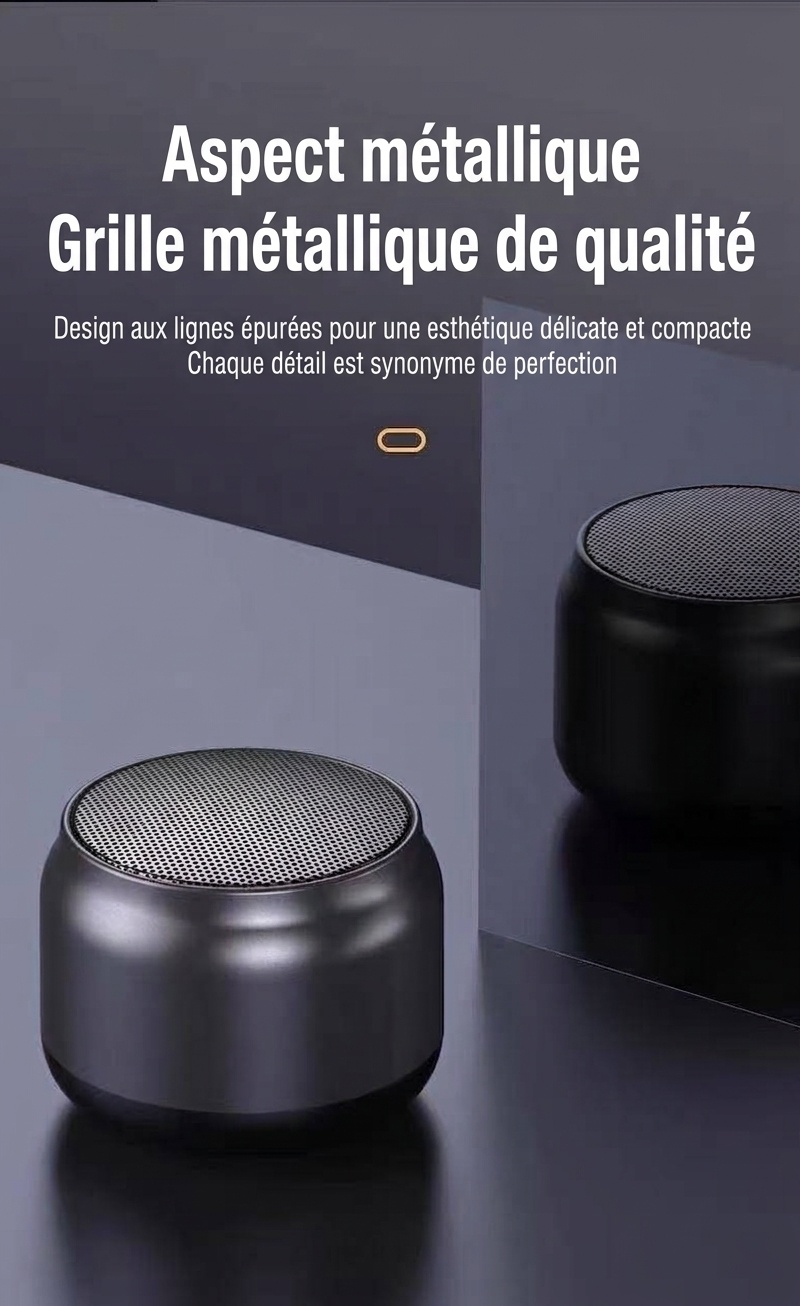Enceinte portable sans fil Bluetooth 5.3, basses profondes et puissantes, son immersif à 360°, autonomie de 8 heures, appels mains libres, enceinte compacte