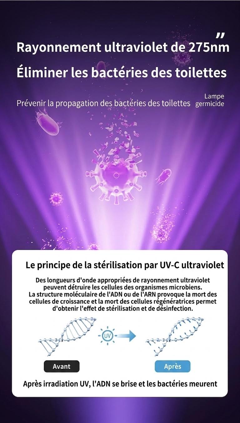 Lampe de stérilisation UV étanche RGB anti-virus pour toilettes avec veilleuse automatique et détecteur de mouvement