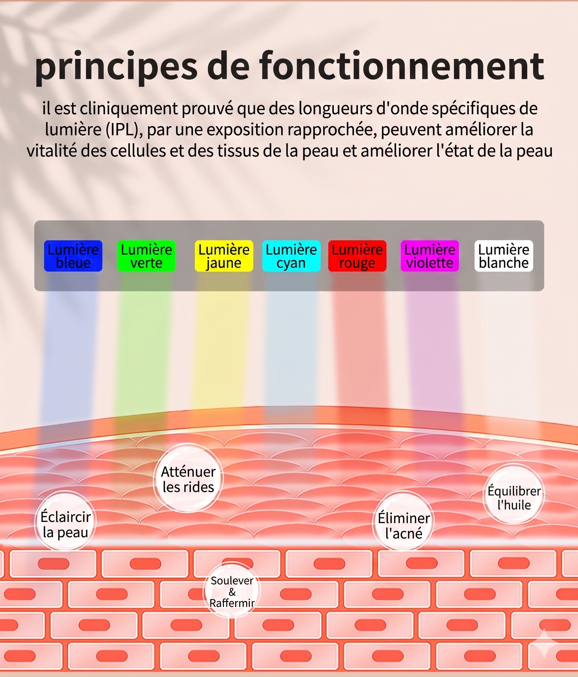 Masque facial de luminothérapie LED - Rajeunissement de la peau par 7 couleurs