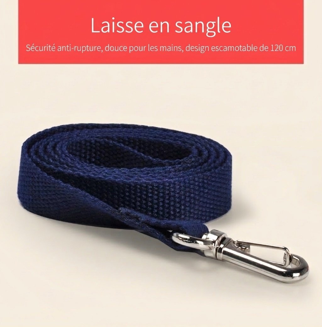 Sac à dos de sécurité pour tout-petits avec laisse anti-perte, mini sac à dos éléphant de dessin animé avec harnais de sécurité et sangle de poitrine pour garçons et filles