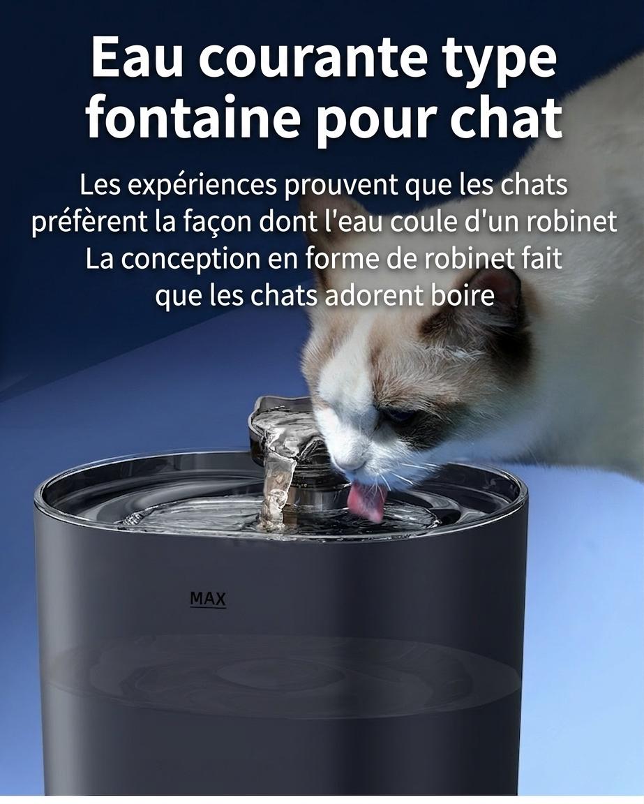 Automatic Pet Water Fountain for Cats & Dogs - Filtered & Quiet - Model#FT666