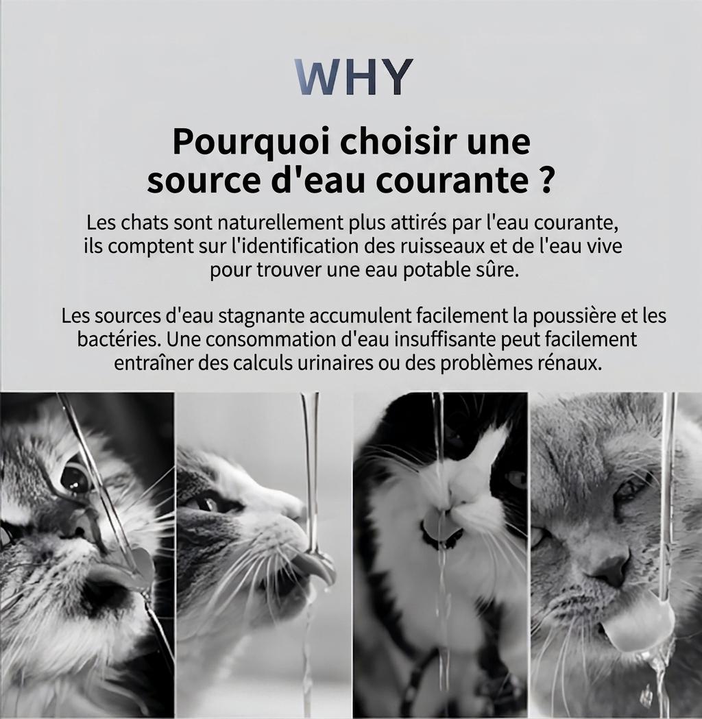 Fontaine à eau automatique pour animaux de compagnie en acier inoxydable de 7 L - Modèle n° FT007