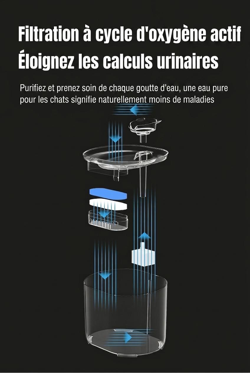 Fontaine à eau automatique pour chats et petits chiens - 2,2 L - Modèle FT666 Gris transparent - Sortie d'eau - Design tête de chat