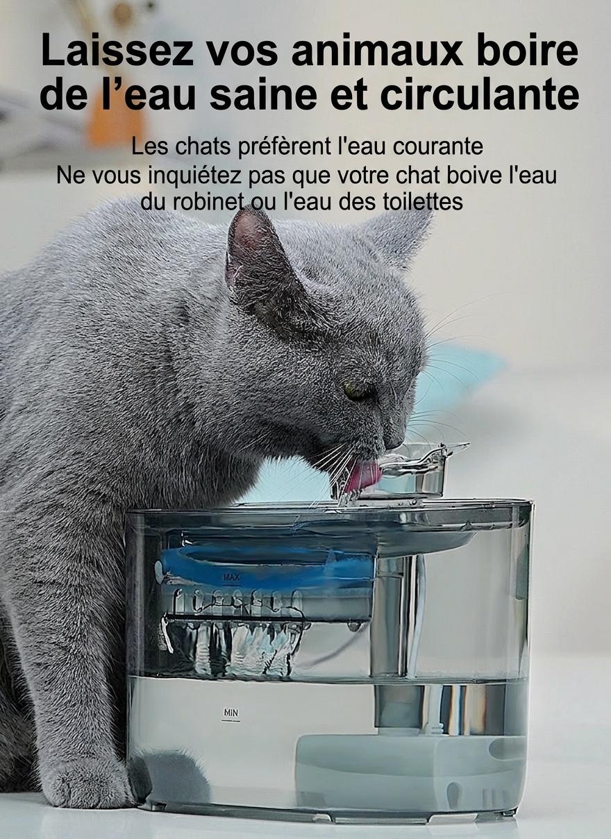 Fontaine à eau automatique pour chats et petits chiens - 2,2 L - Modèle FT666 Gris transparent - Sortie d'eau - Design tête de chat