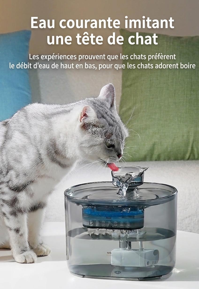 Fontaine à eau automatique pour chats et petits chiens - 2,2 L - Modèle FT666 Gris transparent - Sortie d'eau - Design tête de chat