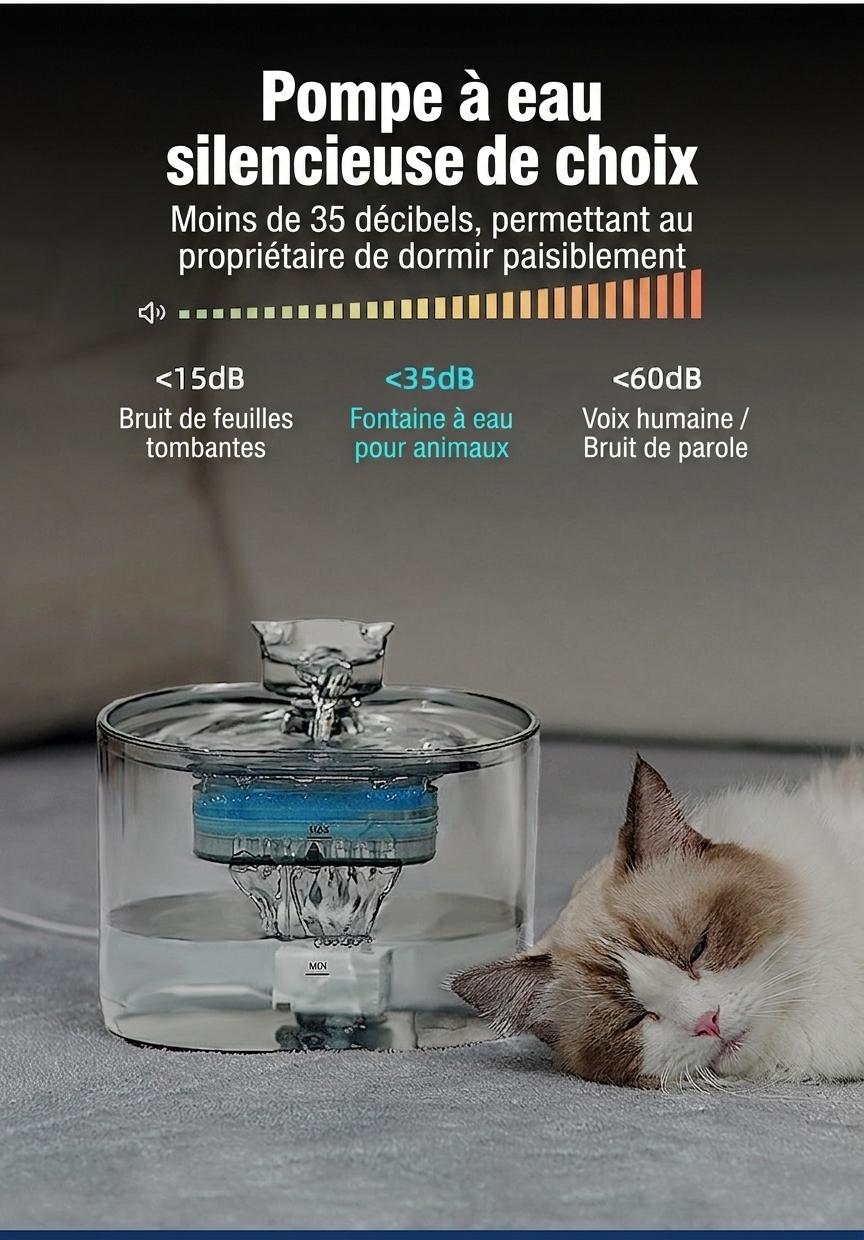 Fontaine à eau automatique pour chats et petits chiens - 2,2 L - Modèle FT666 Gris transparent - Sortie d'eau - Design tête de chat