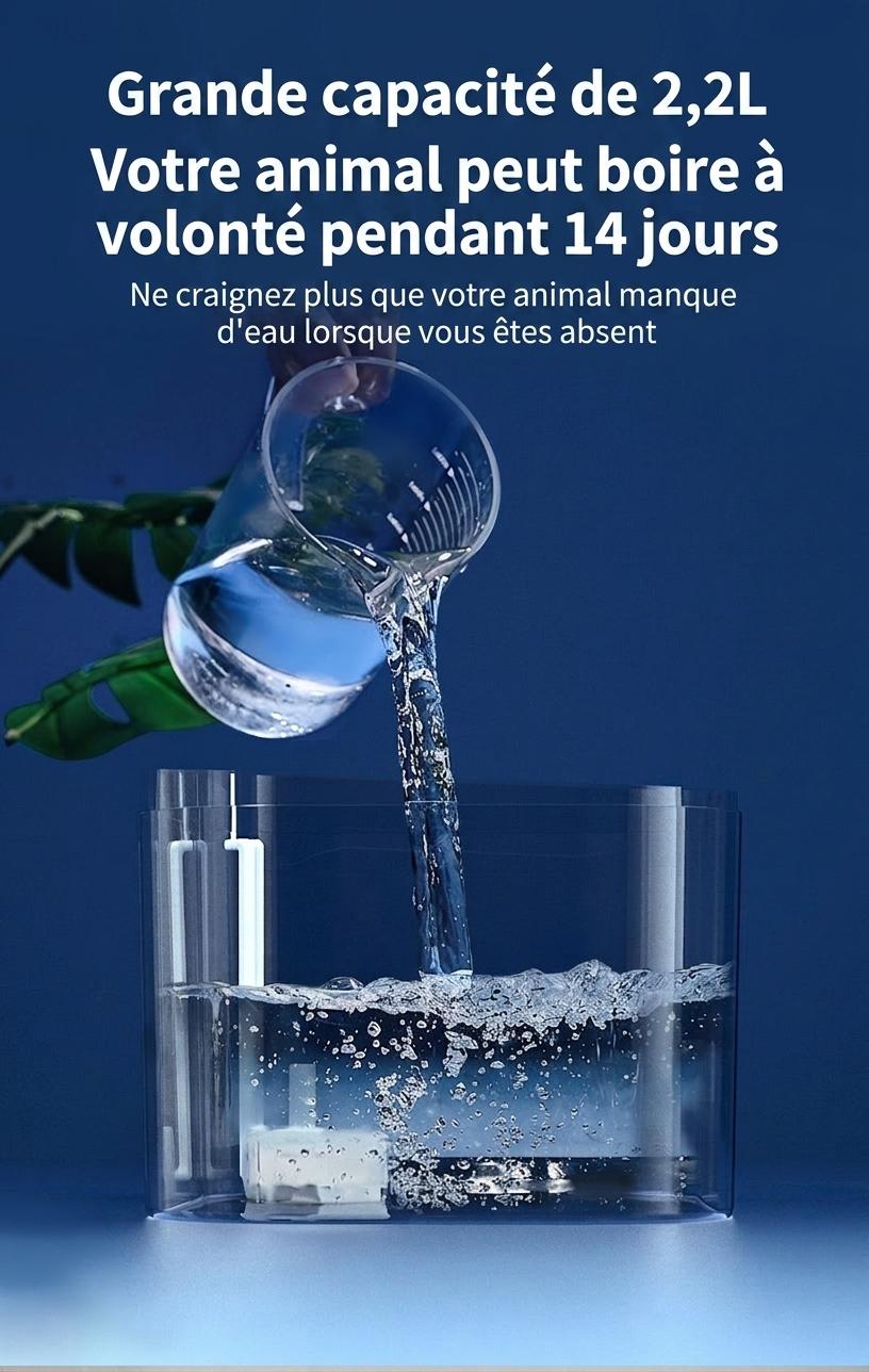 Fontaine à eau automatique pour chats et petits chiens - 2,2 L - Modèle FT666 Gris transparent - Sortie d'eau - Design tête de chat