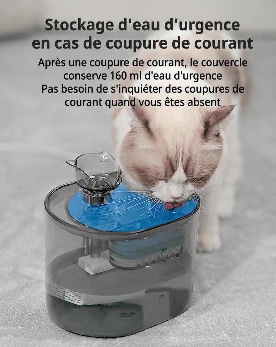 Fontaine à eau automatique pour chats et petits chiens - 2,2 L - Modèle FT666 Gris transparent - Sortie d'eau - Design tête de chat
