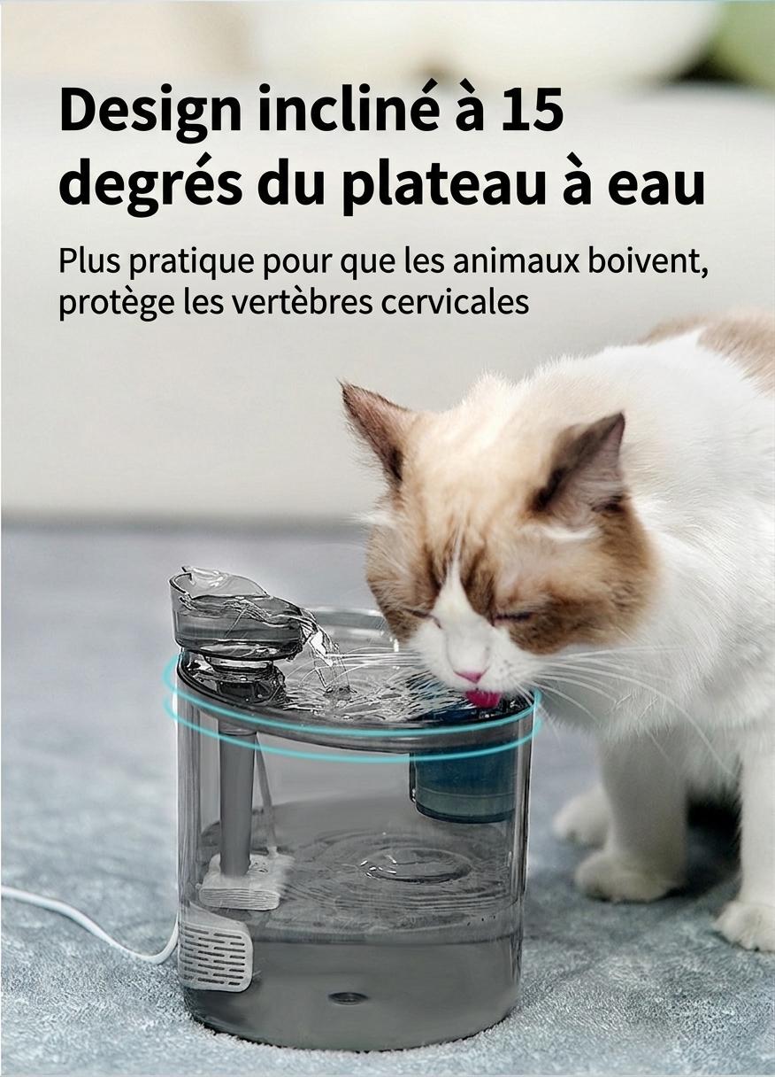 Fontaine à eau automatique pour chats et petits chiens - 2,2 L - Modèle FT666 Gris transparent - Sortie d'eau - Design tête de chat
