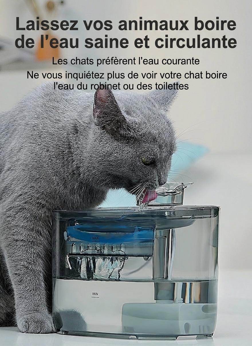 Fontaine à eau automatique pour chats et petits chiens - 2,2 L - Modèle n° FT666 Gris transparent - Sortie d'eau normale