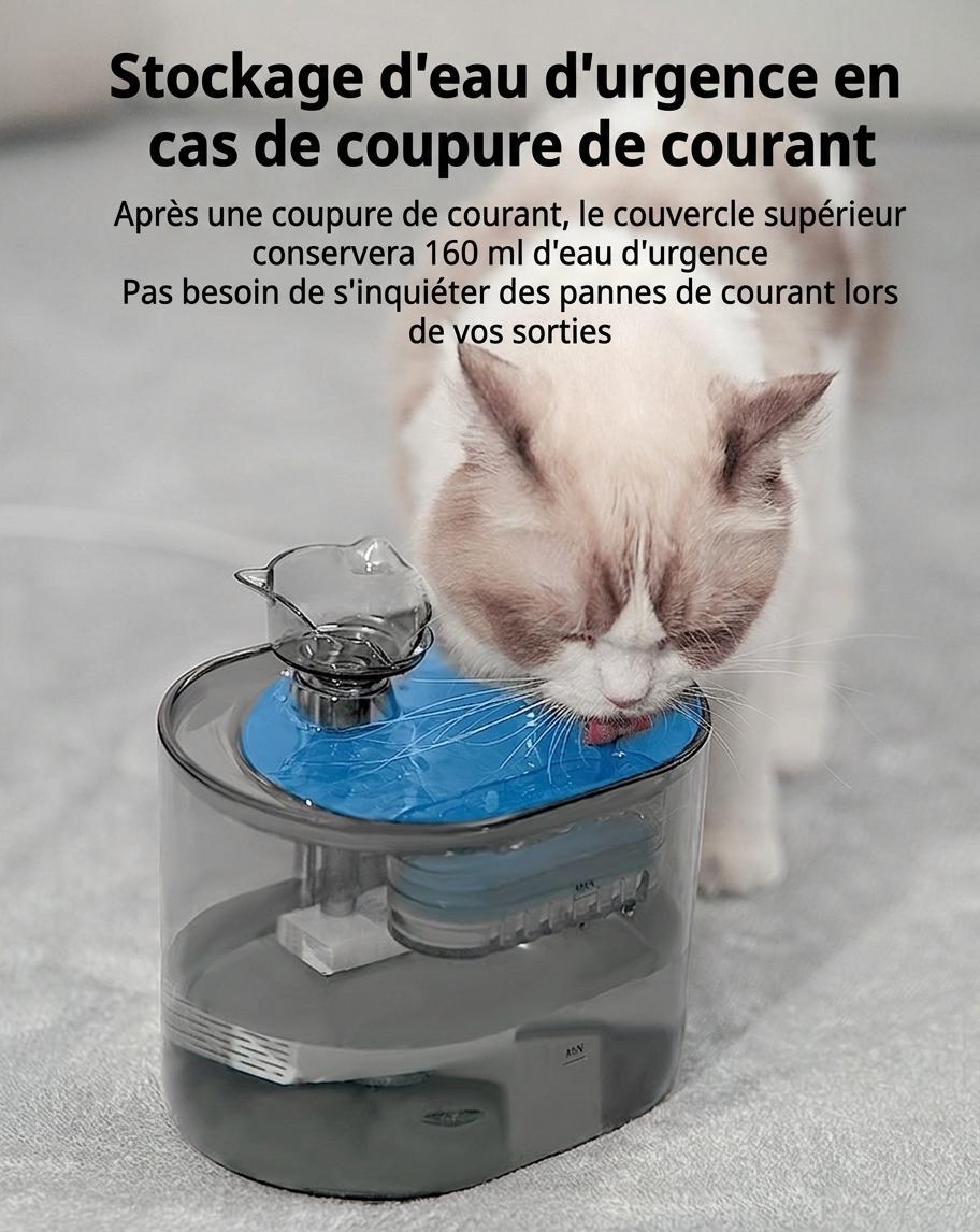 Fontaine à eau automatique pour chats et petits chiens - 2,2 L - Modèle n° FT666 Gris transparent - Sortie d'eau normale