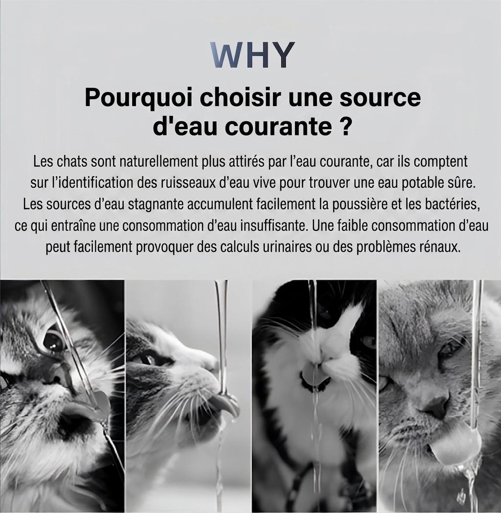 Fontaine à eau intelligente pour animaux de compagnie, acier inoxydable, 2,2 L, filtre automatique - Modèle n° FT100
