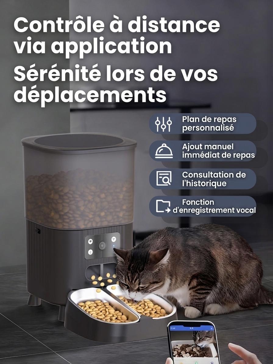 Distributeur automatique de croquettes intelligent Wi-Fi pour chats et chiens - 4,5 L - Forme carrée