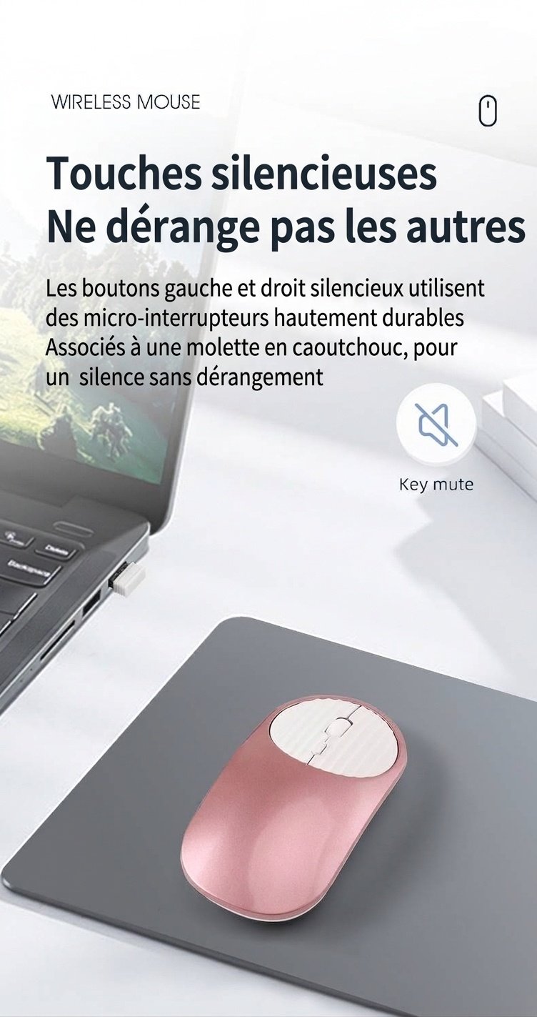 Souris sans fil double mode Bluetooth et 2,4 GHz, rechargeable, 1 600 DPI