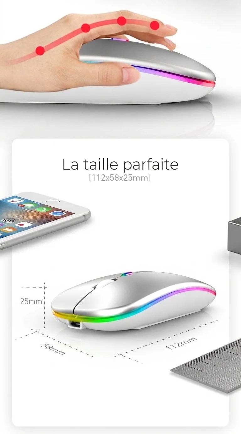 Souris sans fil ergonomique RGB, Bluetooth 5.1 et 2,4 GHz double mode, batterie 500 mAh