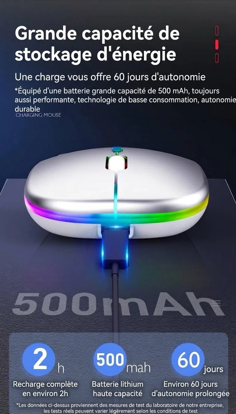 Souris sans fil ergonomique RGB, Bluetooth 5.1 et 2,4 GHz double mode, batterie 500 mAh