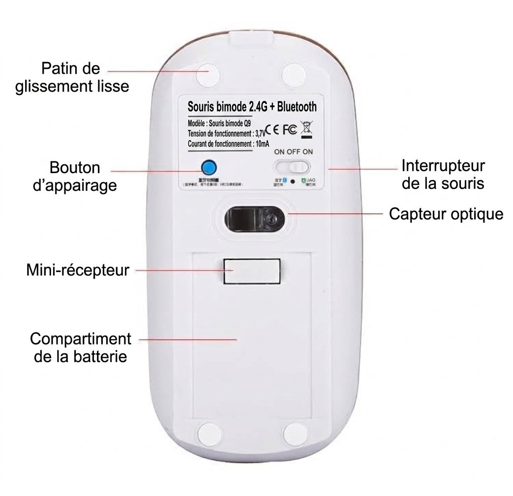 Souris sans fil silencieuse double mode, connectivité Bluetooth et 2,4 GHz avec DPI réglable