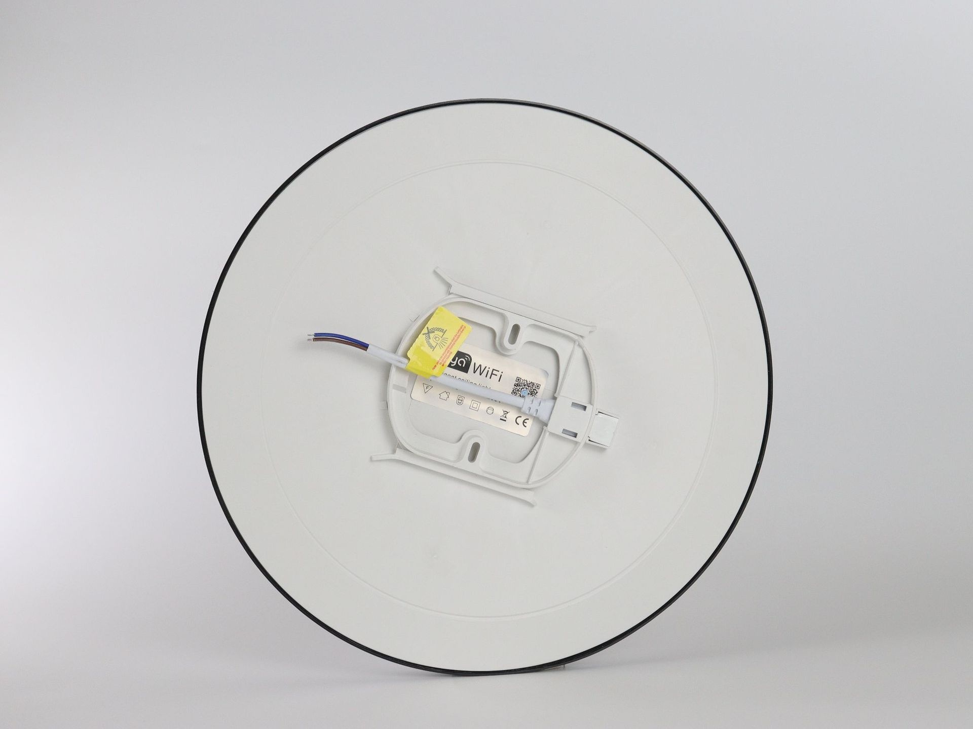 Smart WiFi RGB LED Ceiling Light Tuya App and Voice Control