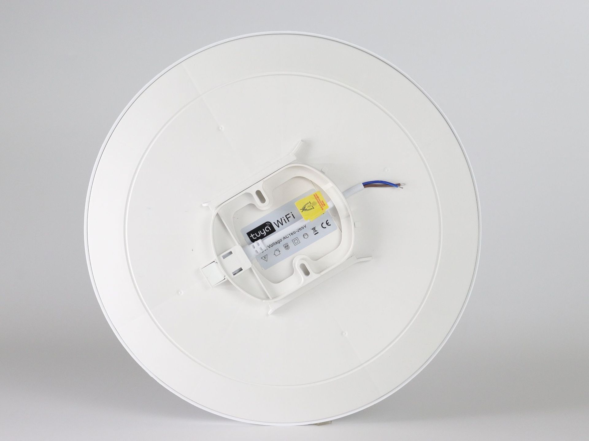 Smart WiFi RGB LED Ceiling Light Tuya App and Voice Control