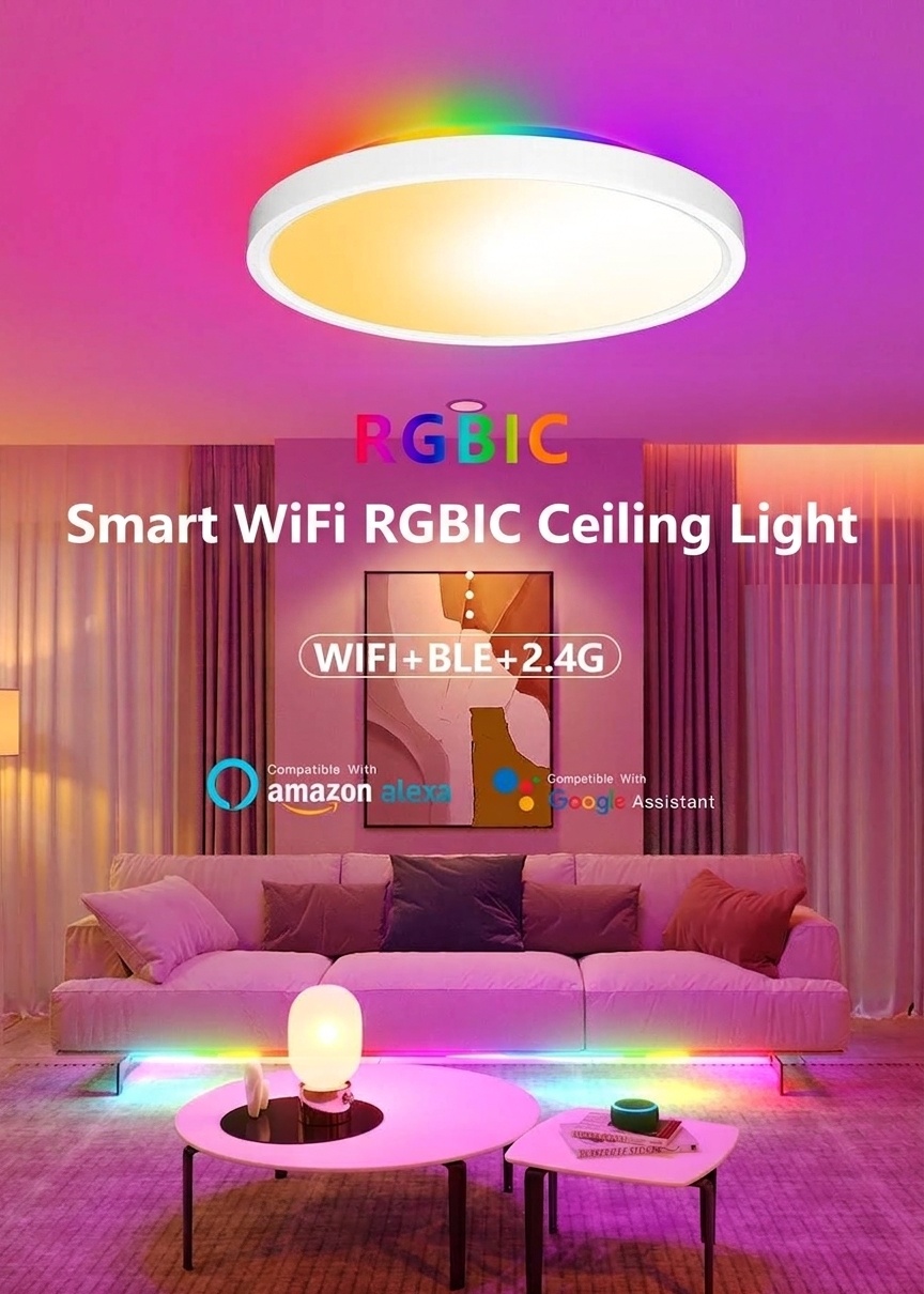 Smart LED Ceiling Light RGBIC Dimmable WiFi Alexa Google Home