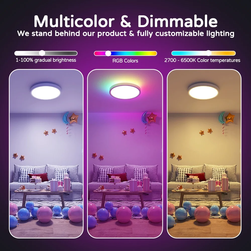 Smart LED Ceiling Light RGBIC Dimmable WiFi Alexa Google Home