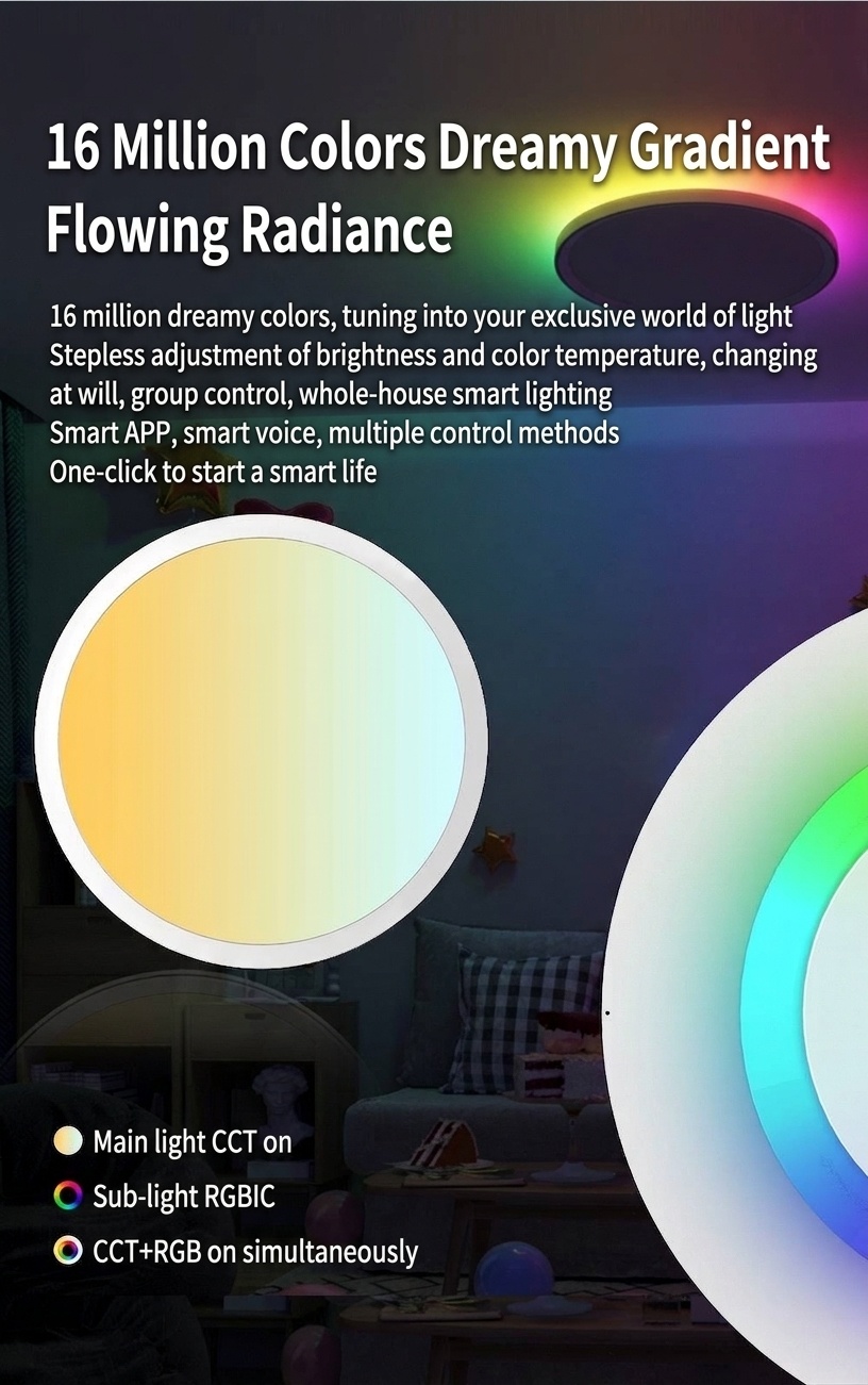 Smart LED Ceiling Light RGBIC Dimmable WiFi Alexa Google Home