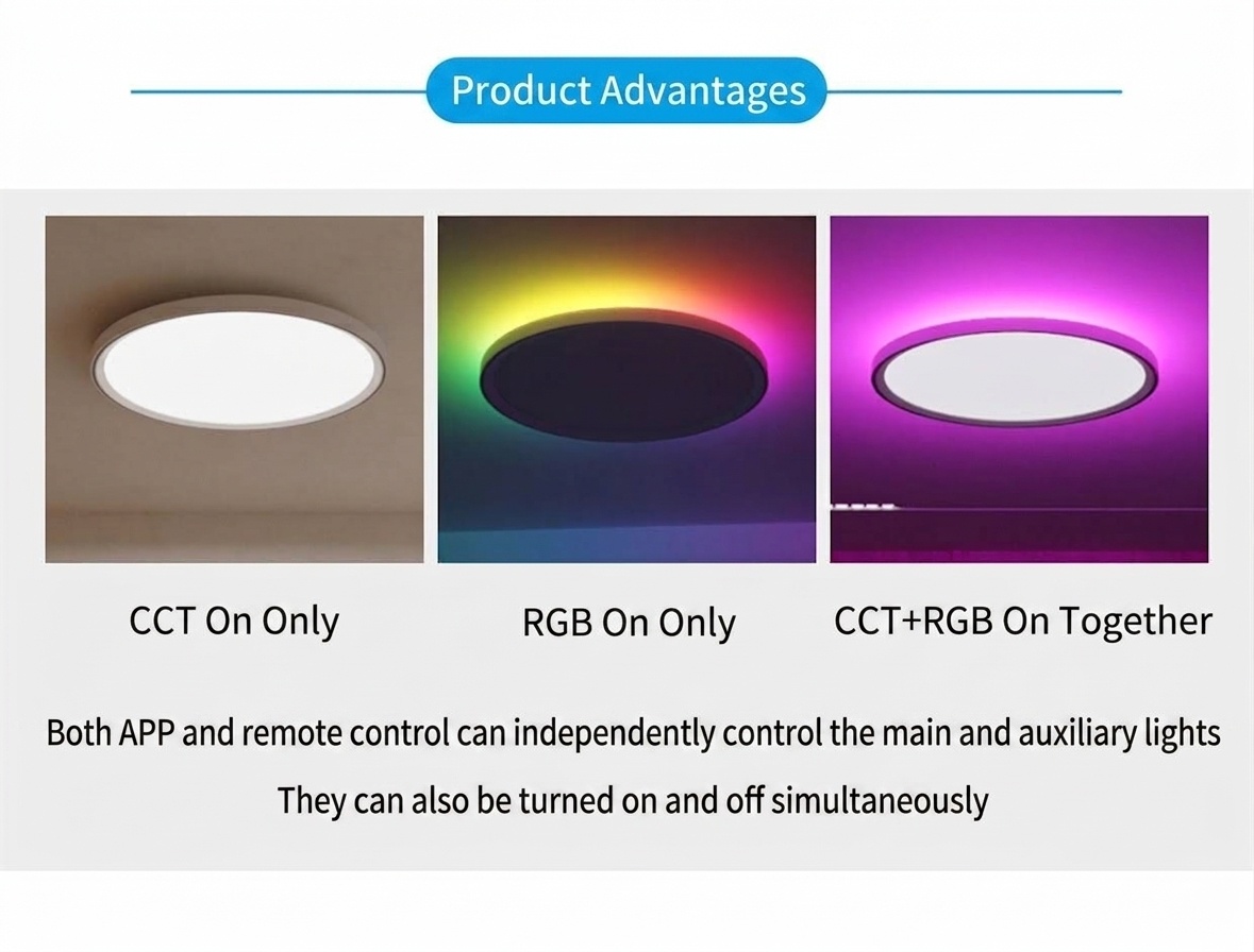 Smart LED Ceiling Light RGBIC Dimmable WiFi Alexa Google Home